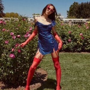 For love and lemons Dolores mini Dress